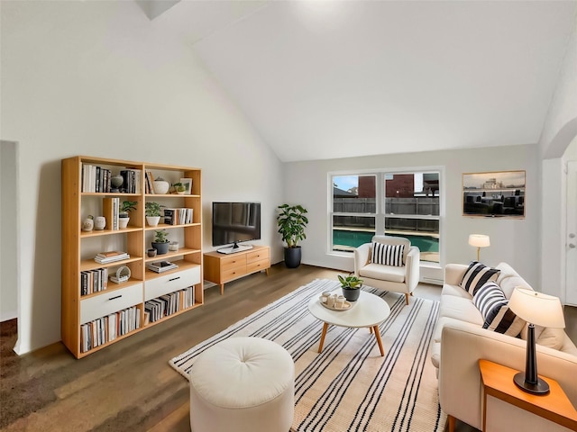 living room featuring lofted ceiling