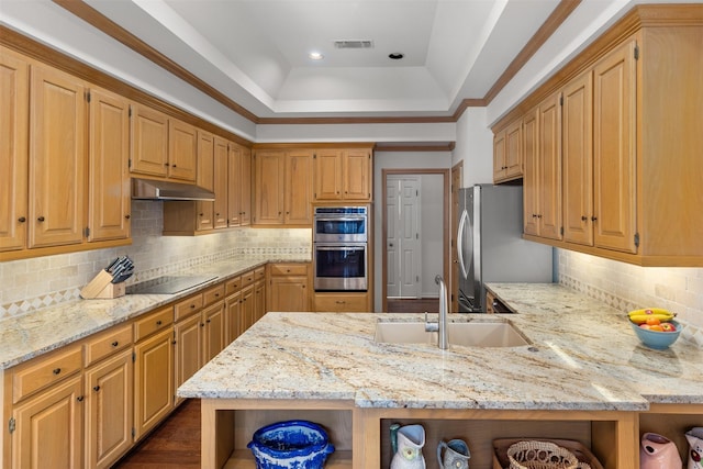 kitchen featuring light stone counters, appliances with stainless steel finishes, sink, and tasteful backsplash