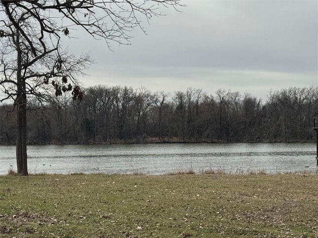 water view with a wooded view