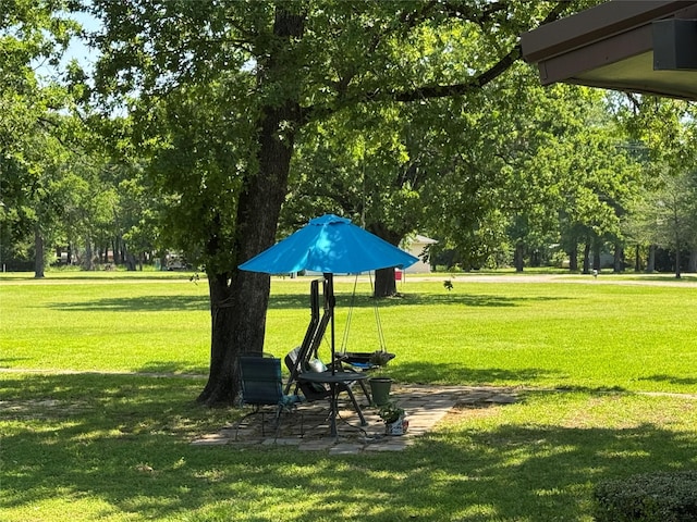 surrounding community featuring a yard