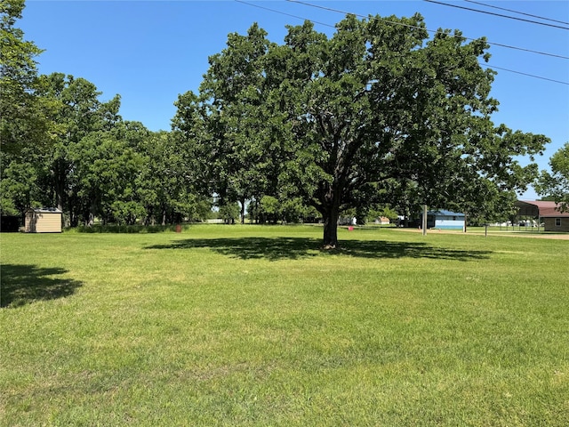 view of yard with a shed and an outdoor structure
