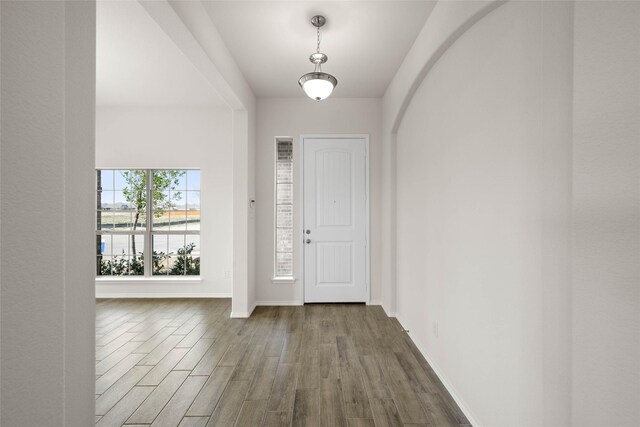 foyer entrance featuring hardwood / wood-style floors