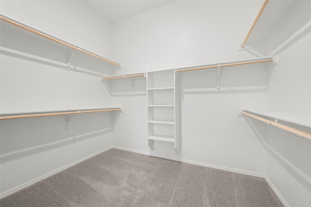 spacious closet with carpet floors