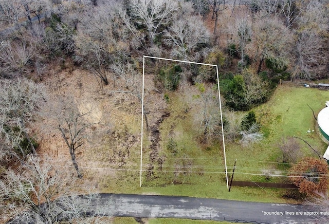LOT252 Santa Maria, Payne Springs, TX 75156