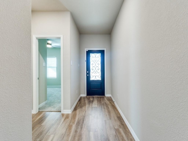 entrance foyer featuring light hardwood / wood-style floors