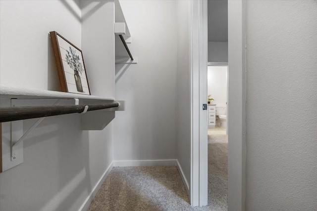 walk in closet with carpet floors