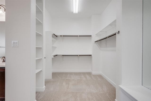 spacious closet with light colored carpet