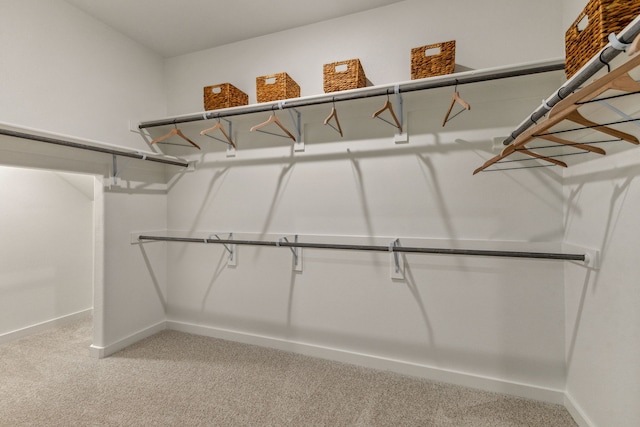 spacious closet featuring carpet flooring