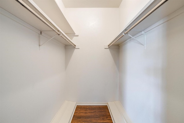 spacious closet with wood-type flooring