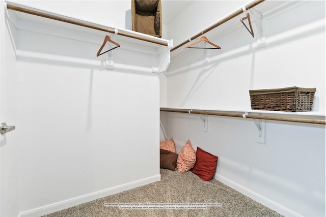 walk in closet with carpet floors