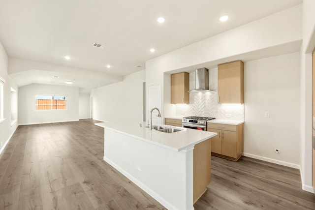 3219 Blossom Trl, Crandall, TX 75114 - kitchen with wall chimney range hood, a sink, light wood-style flooring, tasteful backsplash, and gas stove