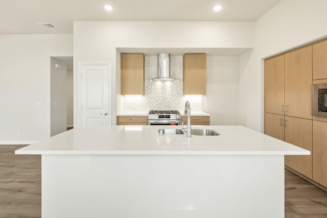 3219 Blossom Trl, Crandall, TX 75114 - kitchen featuring wall chimney range hood, a sink, appliances with stainless steel finishes, light wood-type flooring, and backsplash