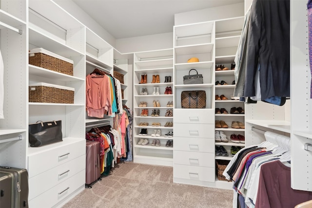 spacious closet featuring light colored carpet