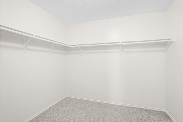 walk in closet featuring carpet flooring