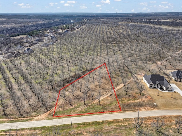 Listing photo 3 for 8419 W Landings Rd, Granbury TX 76049