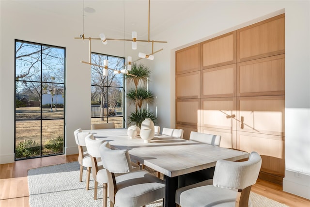 dining area with light hardwood / wood-style flooring