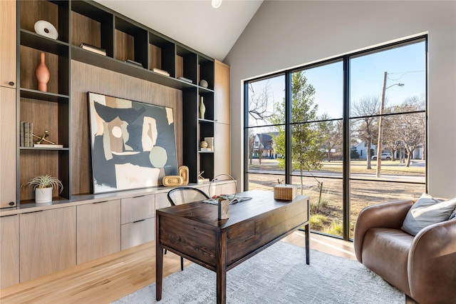 office featuring vaulted ceiling and light hardwood / wood-style flooring