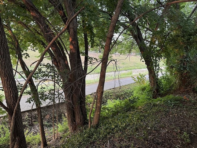 view of water feature