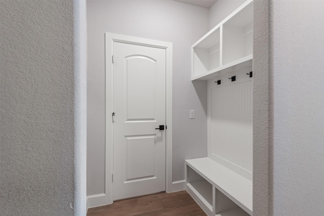 mudroom featuring dark wood-type flooring