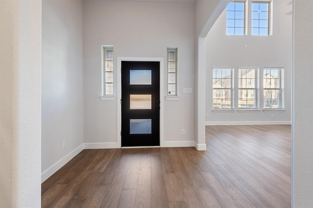 entryway with dark wood-type flooring and plenty of natural light