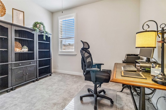 office space featuring carpet flooring