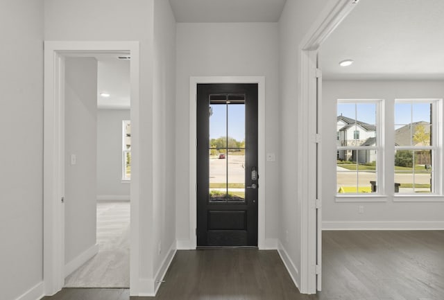 entryway with dark wood-type flooring