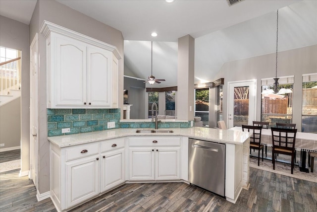 kitchen featuring dark wood-type flooring, a sink, and stainless steel dishwasher