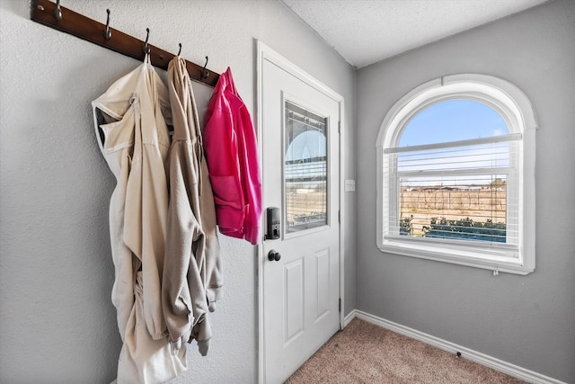 mudroom featuring carpet and a textured ceiling