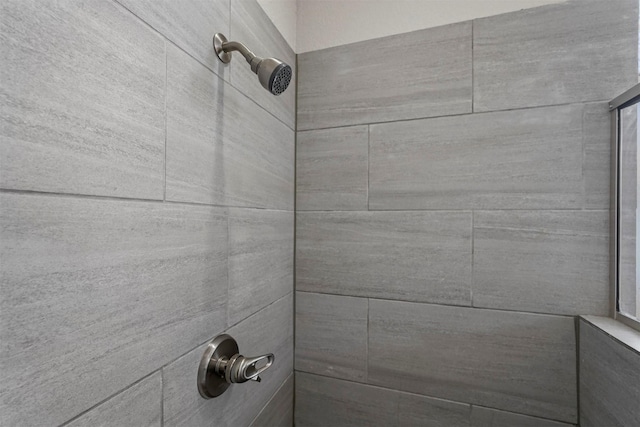 room details with a tile shower