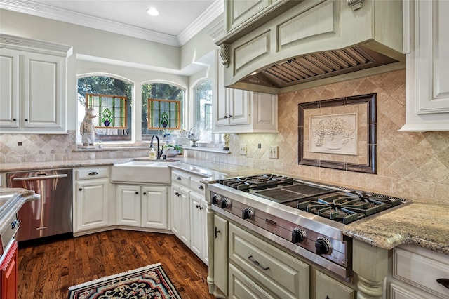 kitchen featuring appliances with stainless steel finishes, custom exhaust hood, dark hardwood / wood-style floors, crown molding, and light stone countertops