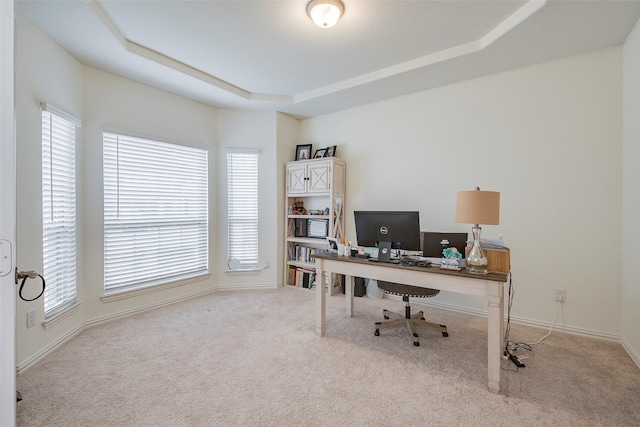 509 Christie Xing, Celina, TX 75009 - carpeted office with a tray ceiling