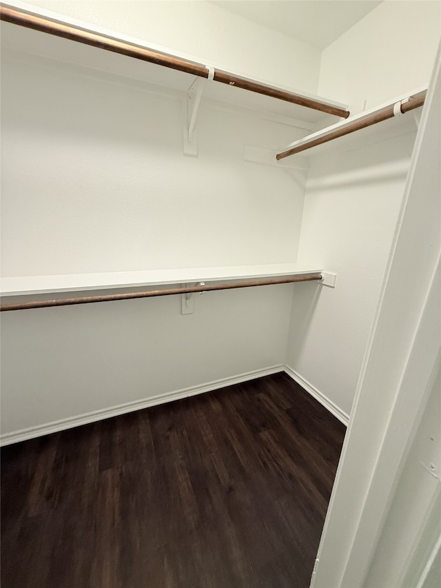 spacious closet featuring hardwood / wood-style flooring