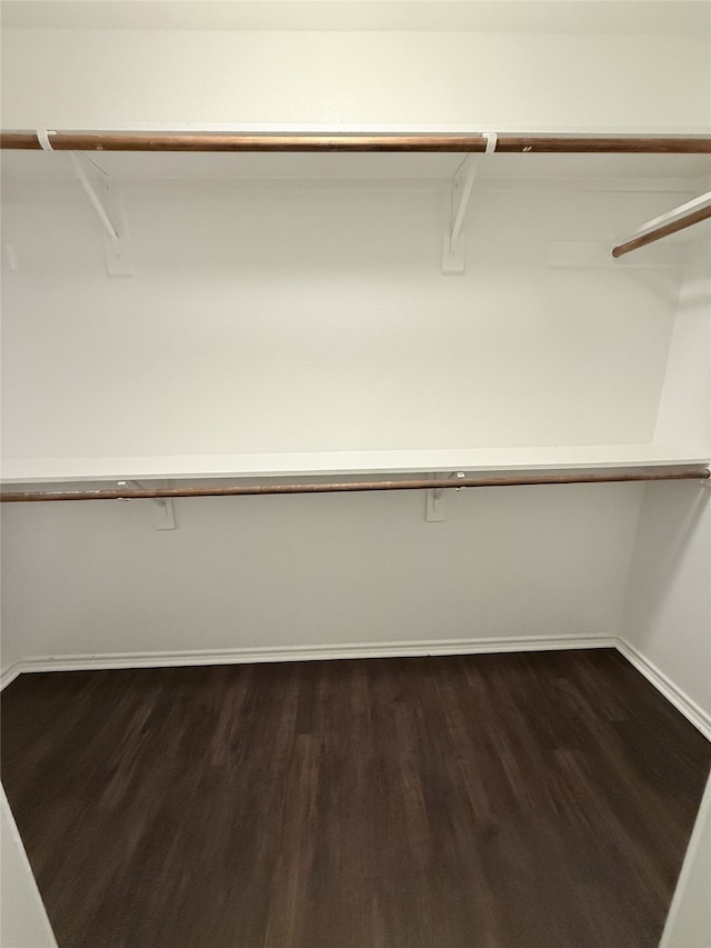 spacious closet with dark wood-type flooring