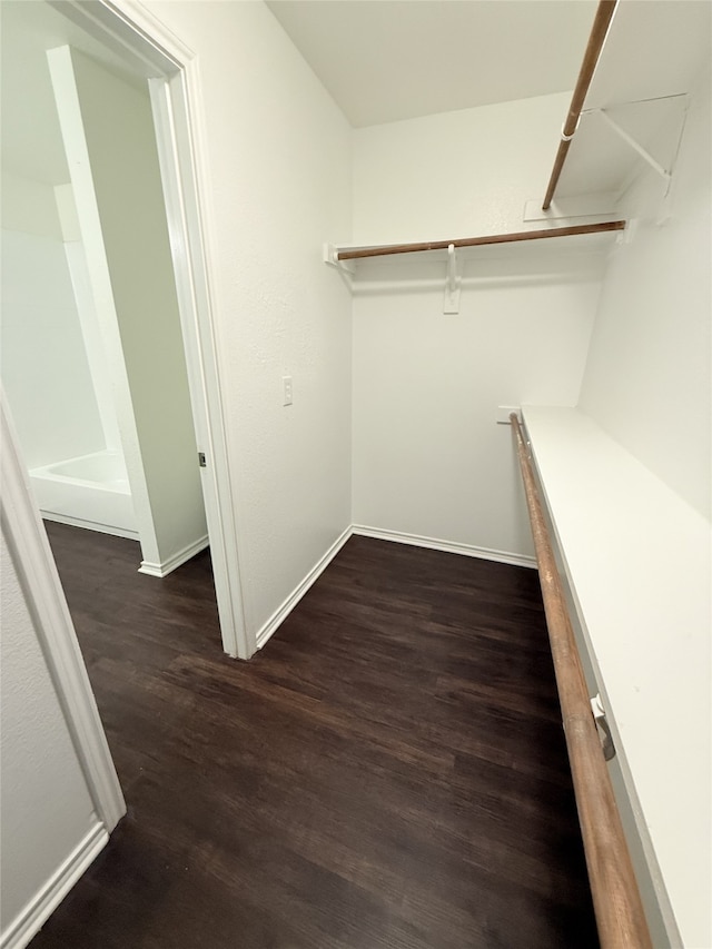 spacious closet featuring dark hardwood / wood-style floors