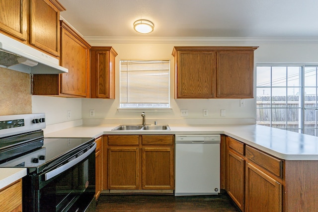 kitchen featuring light countertops, a sink, dishwasher, under cabinet range hood, and stainless steel electric range