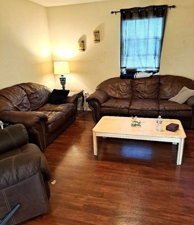 living room with dark wood-type flooring