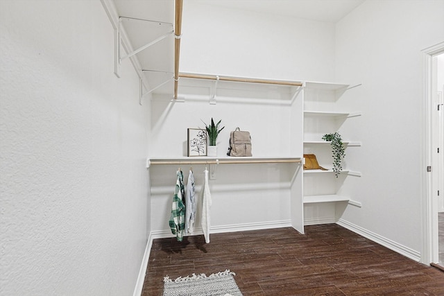 spacious closet with dark hardwood / wood-style flooring