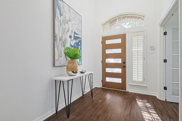 foyer entrance with dark hardwood / wood-style flooring