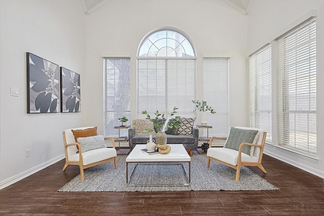 living area featuring a high ceiling, crown molding, and dark hardwood / wood-style floors