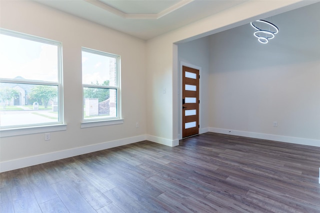 spare room featuring a raised ceiling and dark hardwood / wood-style floors