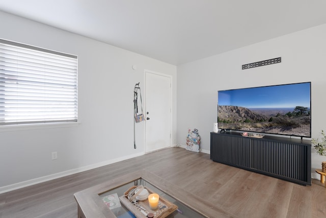 living room with wood-type flooring