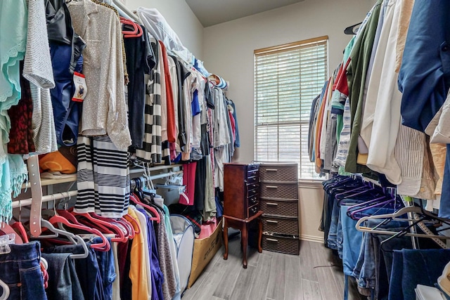 walk in closet featuring light hardwood / wood-style floors