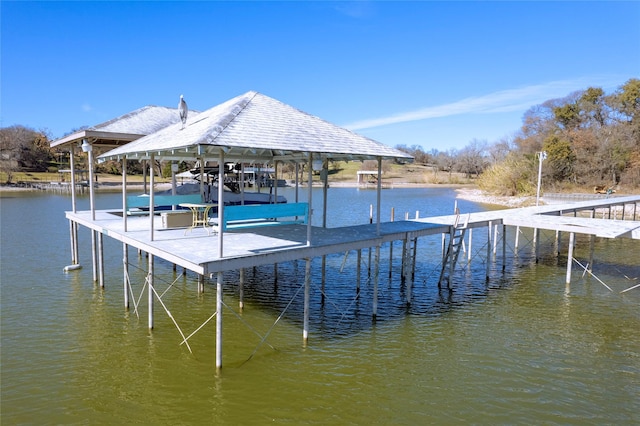 dock area with a water view