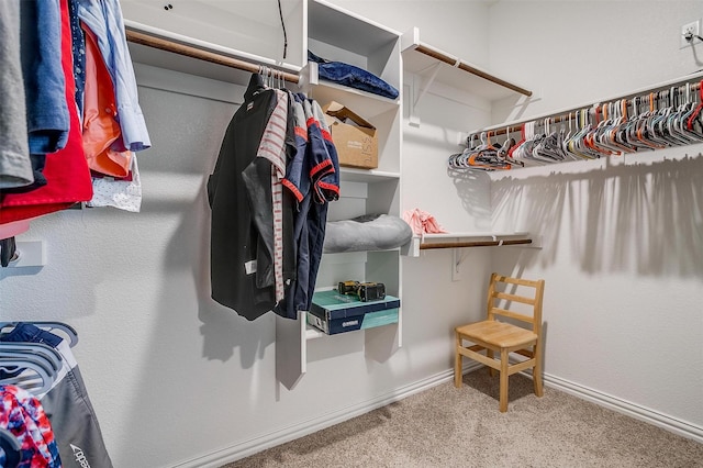 walk in closet with carpet flooring