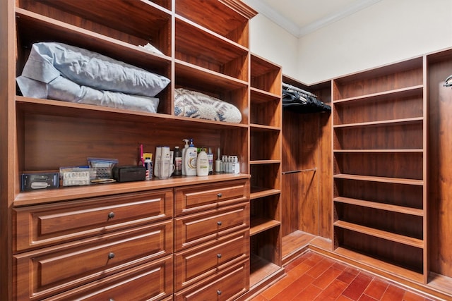 walk in closet featuring hardwood / wood-style flooring