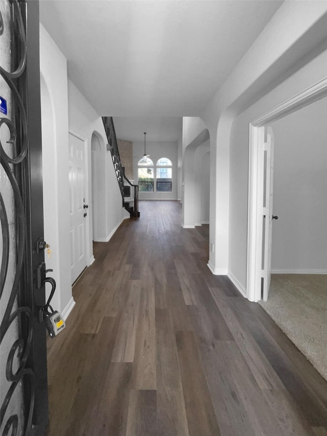 entryway with dark hardwood / wood-style flooring