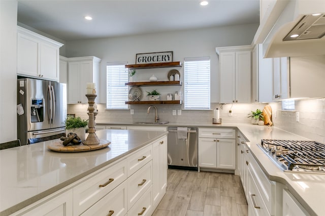 kitchen featuring premium range hood, appliances with stainless steel finishes, tasteful backsplash, sink, and white cabinets