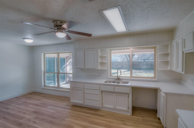 kitchen with white cabinetry, sink, ceiling fan, and light wood-type flooring