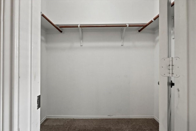 walk in closet featuring dark carpet