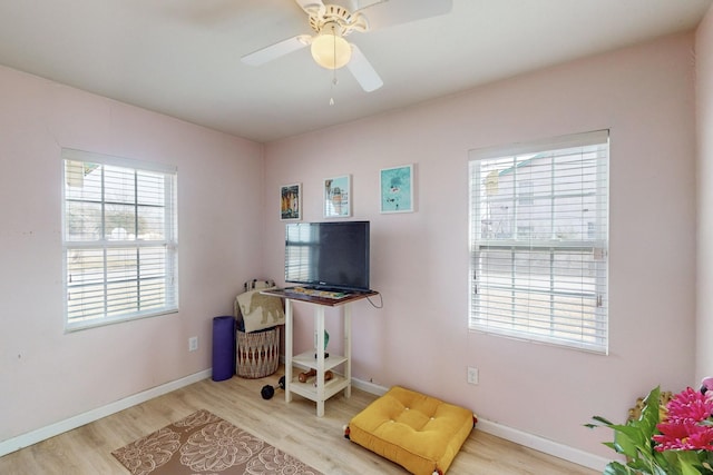 office space featuring ceiling fan and light hardwood / wood-style flooring